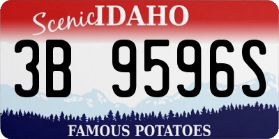 ID license plate 3B9596S