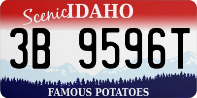 ID license plate 3B9596T
