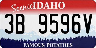 ID license plate 3B9596V
