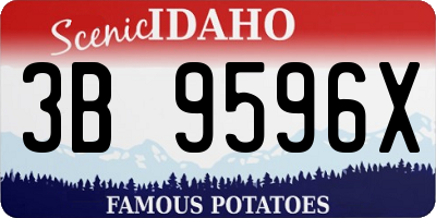 ID license plate 3B9596X