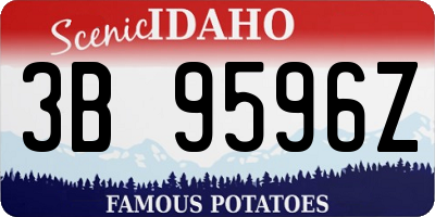 ID license plate 3B9596Z