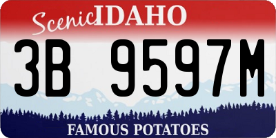 ID license plate 3B9597M