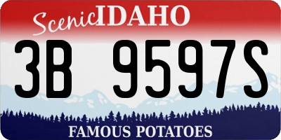 ID license plate 3B9597S