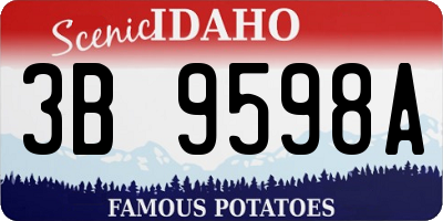 ID license plate 3B9598A