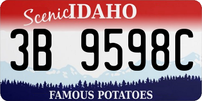 ID license plate 3B9598C
