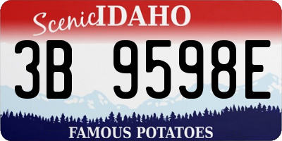 ID license plate 3B9598E