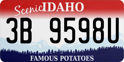 ID license plate 3B9598U