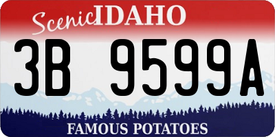 ID license plate 3B9599A