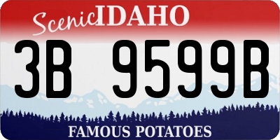 ID license plate 3B9599B