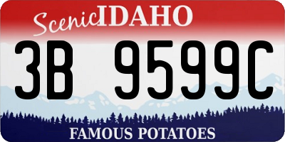 ID license plate 3B9599C