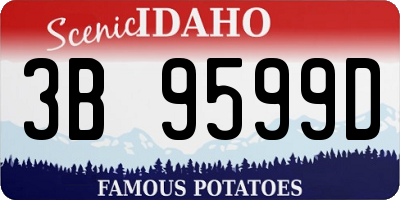 ID license plate 3B9599D