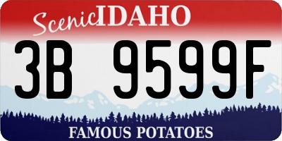 ID license plate 3B9599F