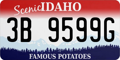 ID license plate 3B9599G