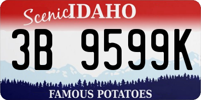 ID license plate 3B9599K