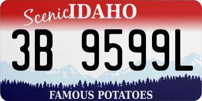 ID license plate 3B9599L