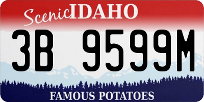 ID license plate 3B9599M