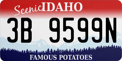 ID license plate 3B9599N