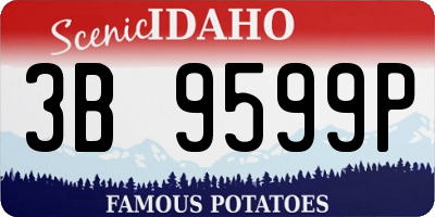 ID license plate 3B9599P
