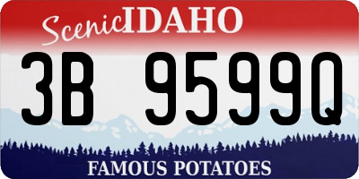 ID license plate 3B9599Q
