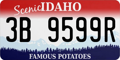 ID license plate 3B9599R