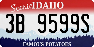 ID license plate 3B9599S