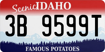 ID license plate 3B9599T