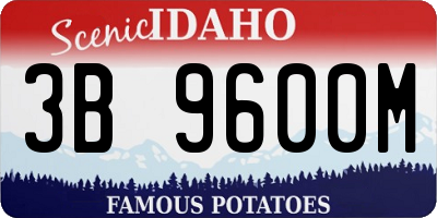 ID license plate 3B9600M