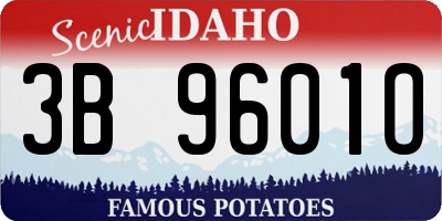 ID license plate 3B9601O