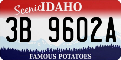 ID license plate 3B9602A