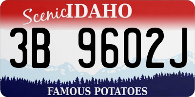 ID license plate 3B9602J