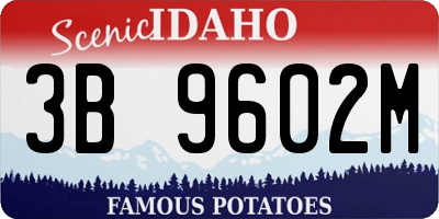 ID license plate 3B9602M