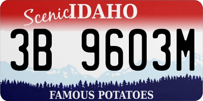 ID license plate 3B9603M