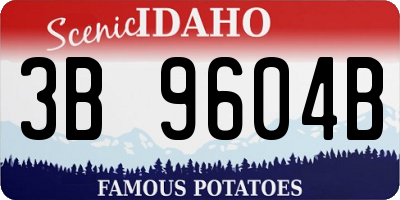 ID license plate 3B9604B