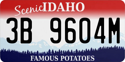 ID license plate 3B9604M