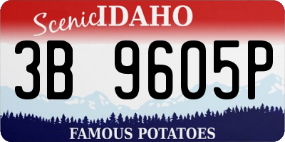 ID license plate 3B9605P