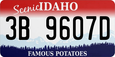 ID license plate 3B9607D
