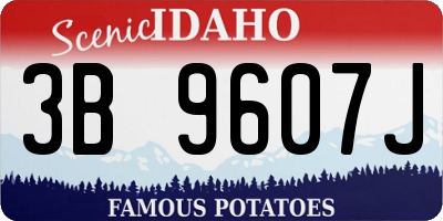 ID license plate 3B9607J