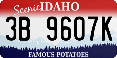 ID license plate 3B9607K