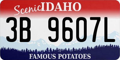 ID license plate 3B9607L