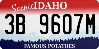 ID license plate 3B9607M