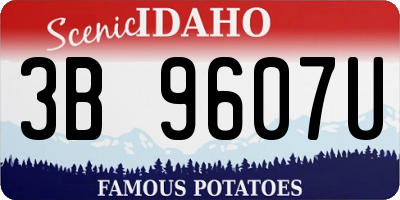 ID license plate 3B9607U