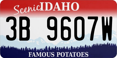 ID license plate 3B9607W