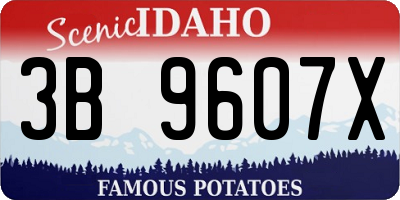 ID license plate 3B9607X