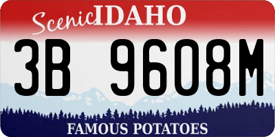 ID license plate 3B9608M