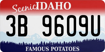 ID license plate 3B9609U