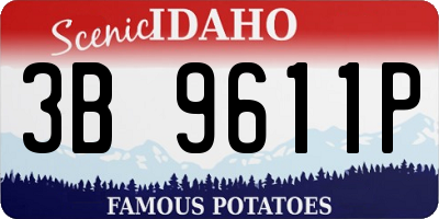 ID license plate 3B9611P