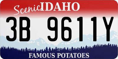 ID license plate 3B9611Y