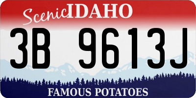 ID license plate 3B9613J