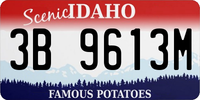 ID license plate 3B9613M