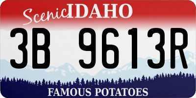 ID license plate 3B9613R